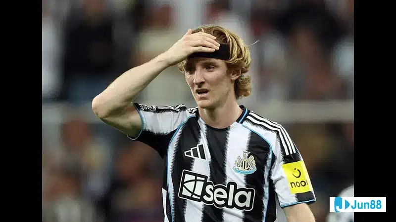 Anthony Gordon, thể hiện sự quyết tâm Anthony Gordon, thể hiện sự quyết tâm